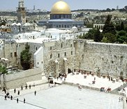 Все SPO Все SPO