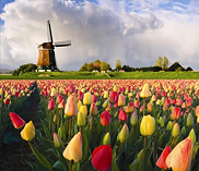 Все SPO Все SPO